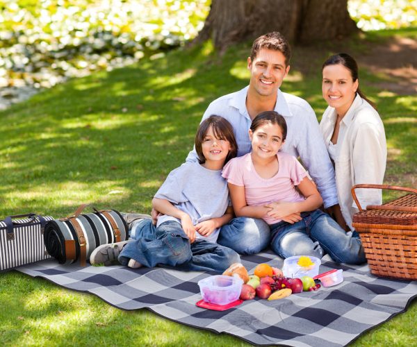 enjoying-picnic-on-the-picnic-blanket.jpg